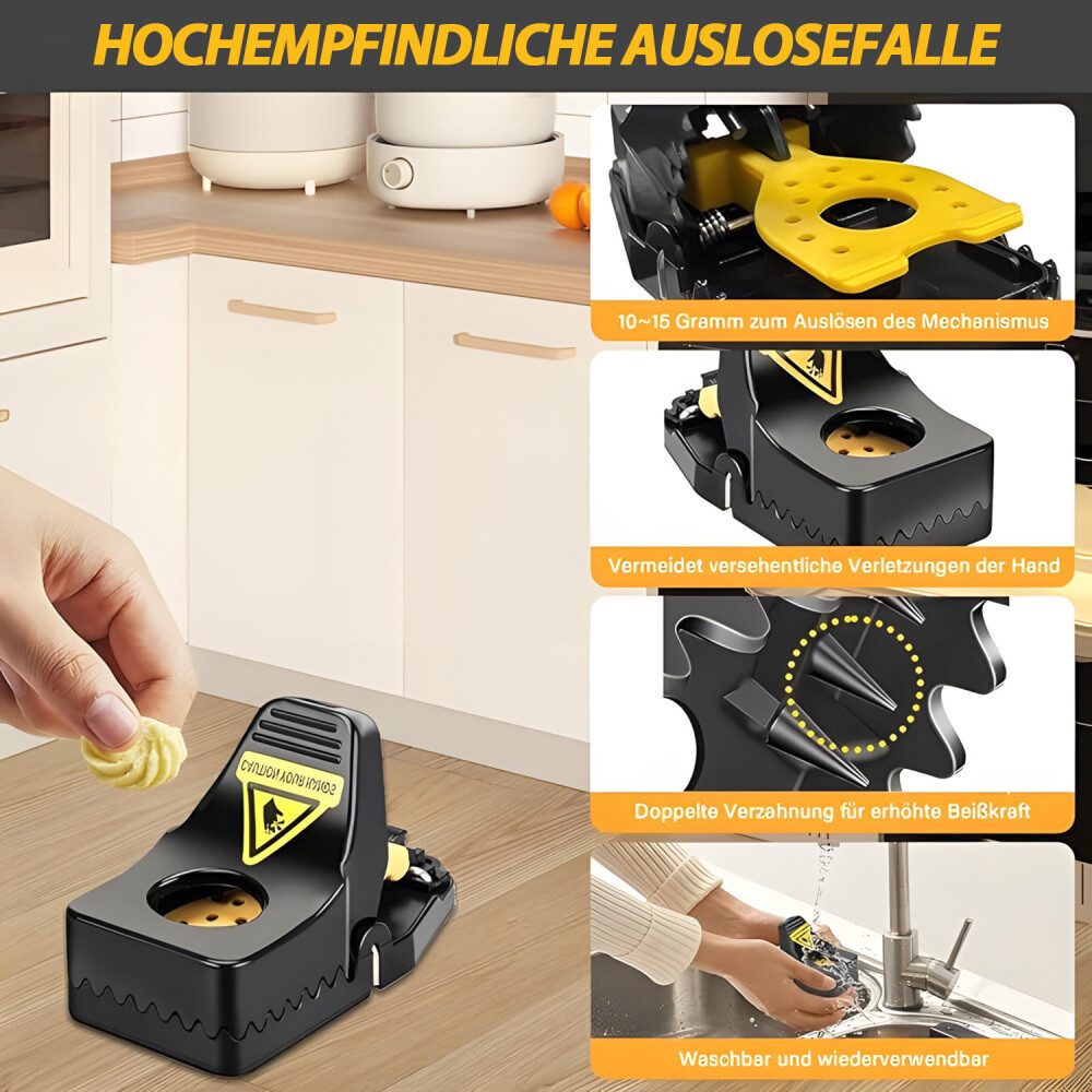 Bild 12 von 12
