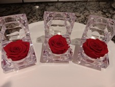 REAL Preserved Eternity Forever Red Rose Ring Box Proposal. Valentine