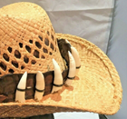 Bild 3 von 6