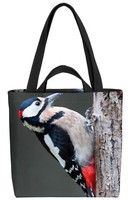Specht Wald Winter Herbst Tasche Vogel Baum Natur Landschaft Weihnachten Wander