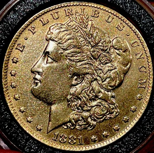 24kt Gold Gilded MS BU 1881 CC Morgan Dollar Carson City Great Filler
