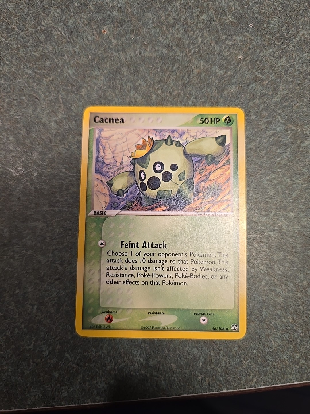 Cacnea 46/108 Power Keepers Regular