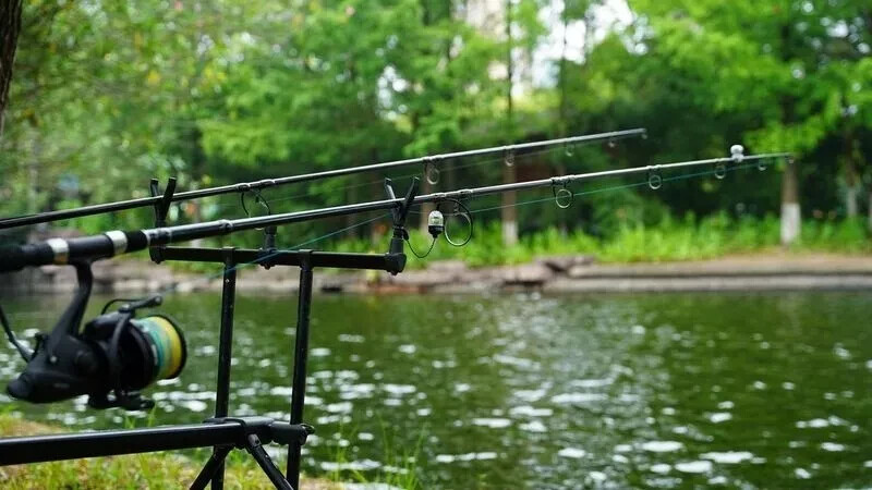 Coffret Détecteur De Touche Rippton Bitekeeper Pro - Foto 8