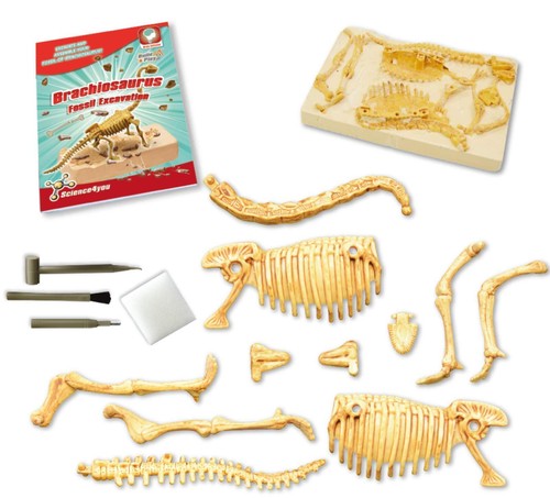 Science4you - Brachiosaurus Fossil Digging Kit for Kids +6 - Excavate and Assemb - Picture 2 of 3