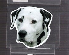 Dalmation  4 inch face magnet for anything metal