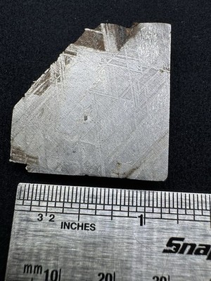 24.4g Muonionalusta Meteorite Slice