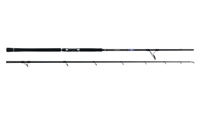 Herakles MISSION spinnng 11'-330 cm 60-150gr fuji O-Ring canne shore