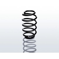Eibach F11-20-018-01-HA Fahrwerksfeder Einzelfeder Pro Kit Tieferlegung FüR Bmw