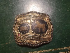 2011  ARED Gist Belt Buckle Tennessee Walker best breeder champion
