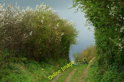 Foto 12x8 nahe der Spitze des Weges, Kern Marl, Isle of Wight Alverstone T c2012
