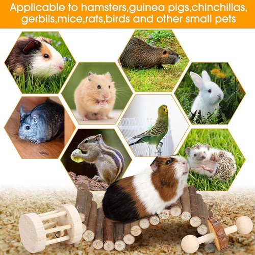 Small Animal Chew Toys for Rodents - Wooden Teeth Care, Swing, Seesaw, Bridge - Picture 4 of 6