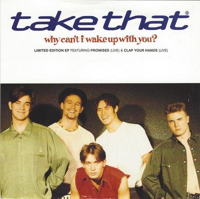Take That - Why Can't I Wake Up With You - Used Vinyl Record 7 - H5z