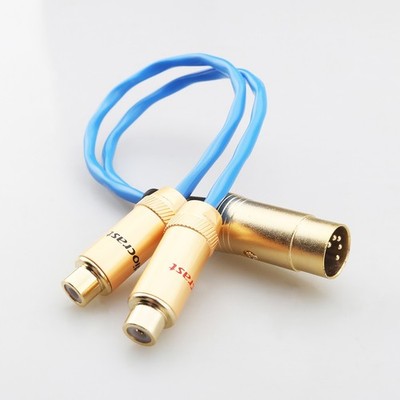 1 foot 5 Pin Din Male to 2 RCA Female Premium Grade Audio Cable for Bang Olufsen