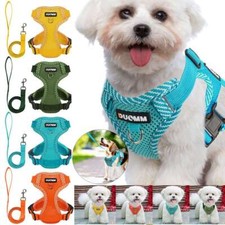 Cat Dog Pet Harness Adjustable Control Vest Dogs Reflective S M L XL w/Pet Leash