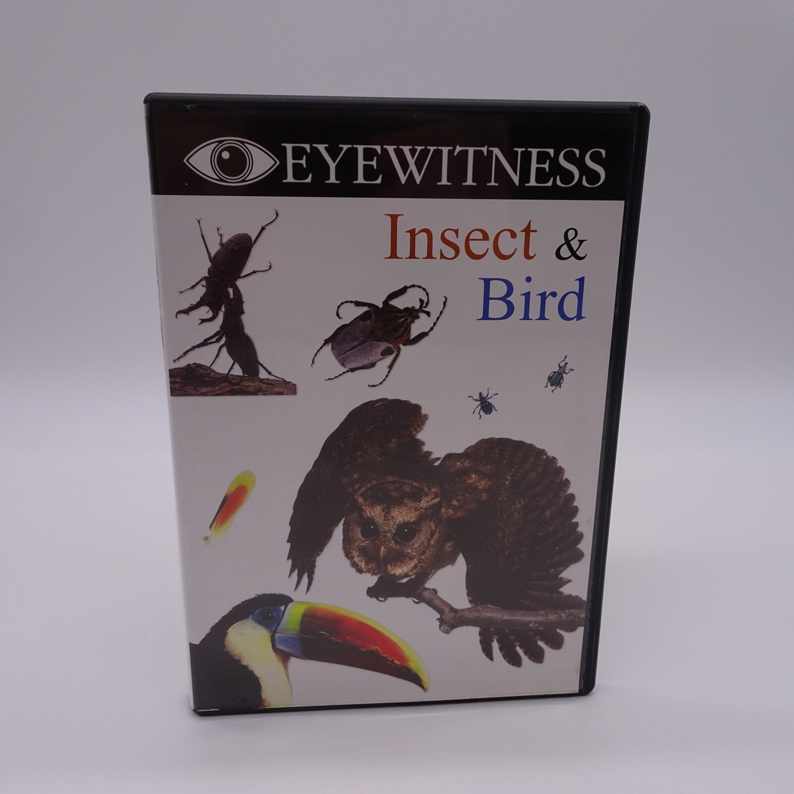Insect & Bird (DVD) | eBay
