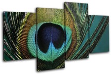 Peacock Feathers Animals MULTI CANVAS WALL ART Picture Print VA