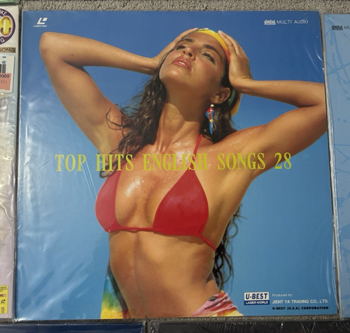 Karaoke Laserdisc Top Hits English Love Broadway Songs '60s -'90s 8 Disc Lot NM! - Afbeelding 10 van 19