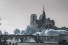 Infrared IR720nm converted Canon 650D camera body plus accessories