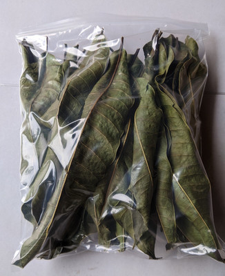 Premium getrocknete Mangoblätter 100 Stück 100% natürlicher reiner Kräutertee aus Sri Lanka