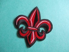 Louisiana Ragin Cajuns Secondary Logo NCAA New Iron-On Patch 2 " x 2"