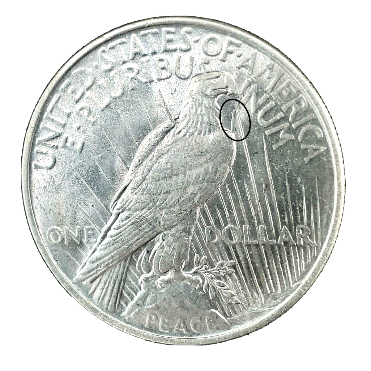 1922 Peace Silver Dollar VAM-2BD long Clash Spike Eagle's