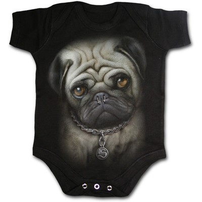 pug baby grow