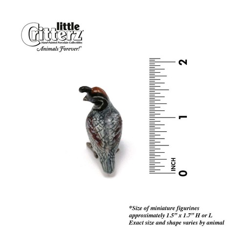 Little Critterz - Gambel's Quail "Sage" Bird - Miniature Porcelain Figurine - 第 2/2 張圖片
