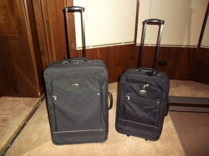 multicolor designer handbolsas