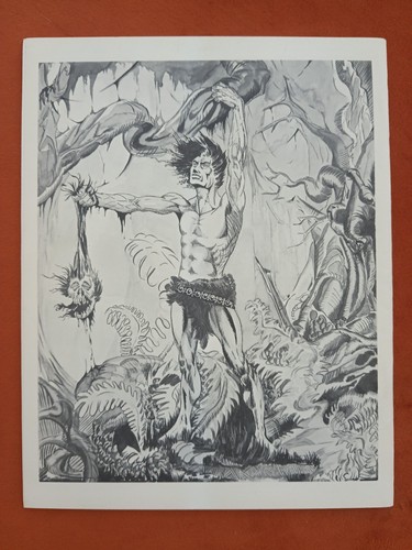 Fanzine fantástico #11 cómic fanzine (8,0) 1970 FIRMADO por Jim Steranko arte de portada - Imagen 3 de 9