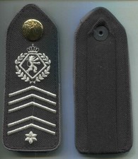 Belgien Schulterklappen 125mm Milit&auml;rakademmie Adjudant 1 Paar (179)