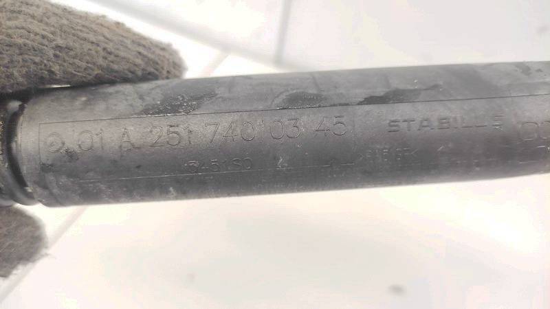 A2517400345 642950 40 161887 Trunk Luggage Shock Lift Cylinder, G ...