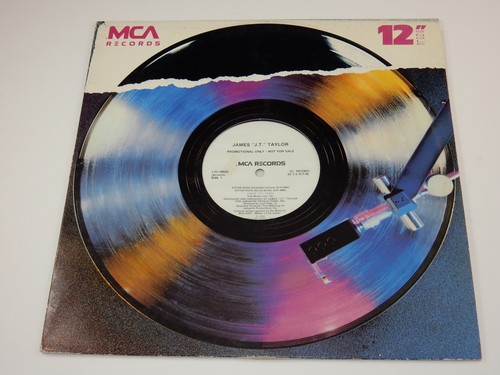 MCA Records 1989 James J.T Taylor Sister Rosa Promo Copy 12" Single LP    RARE - Bild 1 von 4