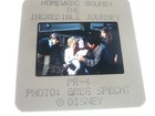 HOMEWARD BOUND: INCREDIBLE JOURNEY, 5 diff press slides [Robert Hays, Kim Greist — photo 3