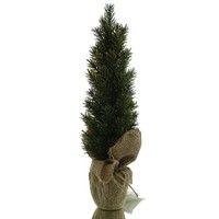 Weihnachtsdeko Tannenbaum GrüN Im Jutesack 42 Cm - Kunstpflanzen