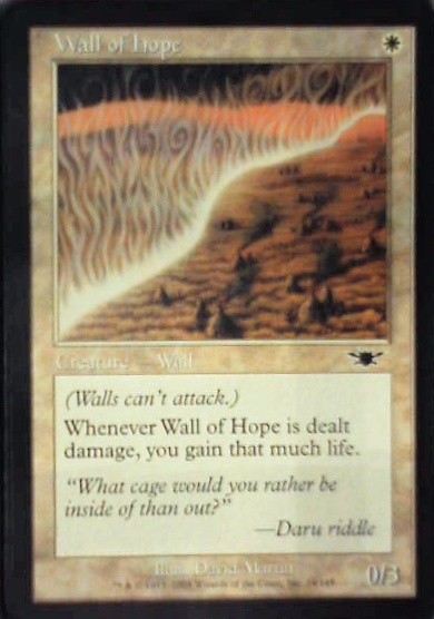 Wall of Hope - Legions: #24, Magic: The Gathering Nm C284