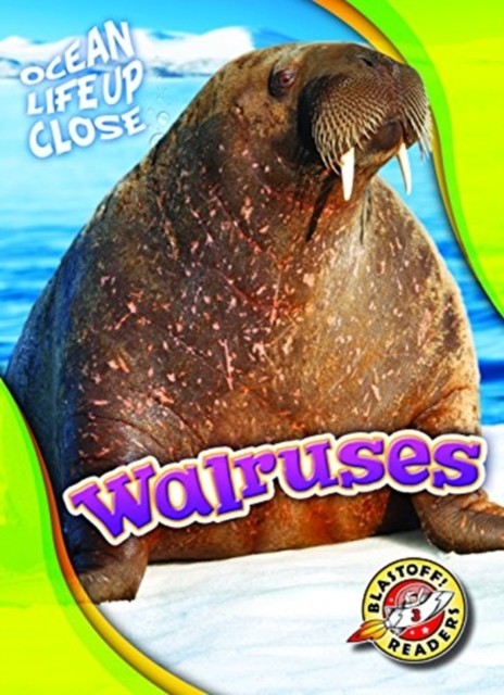Walruses by Kari Schuetz (Hardback Book)