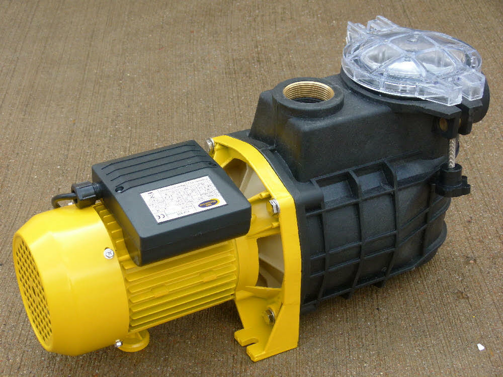 Pompe de piscine 550W avec filetage laiton FF 40x49 pour filtration au chlore