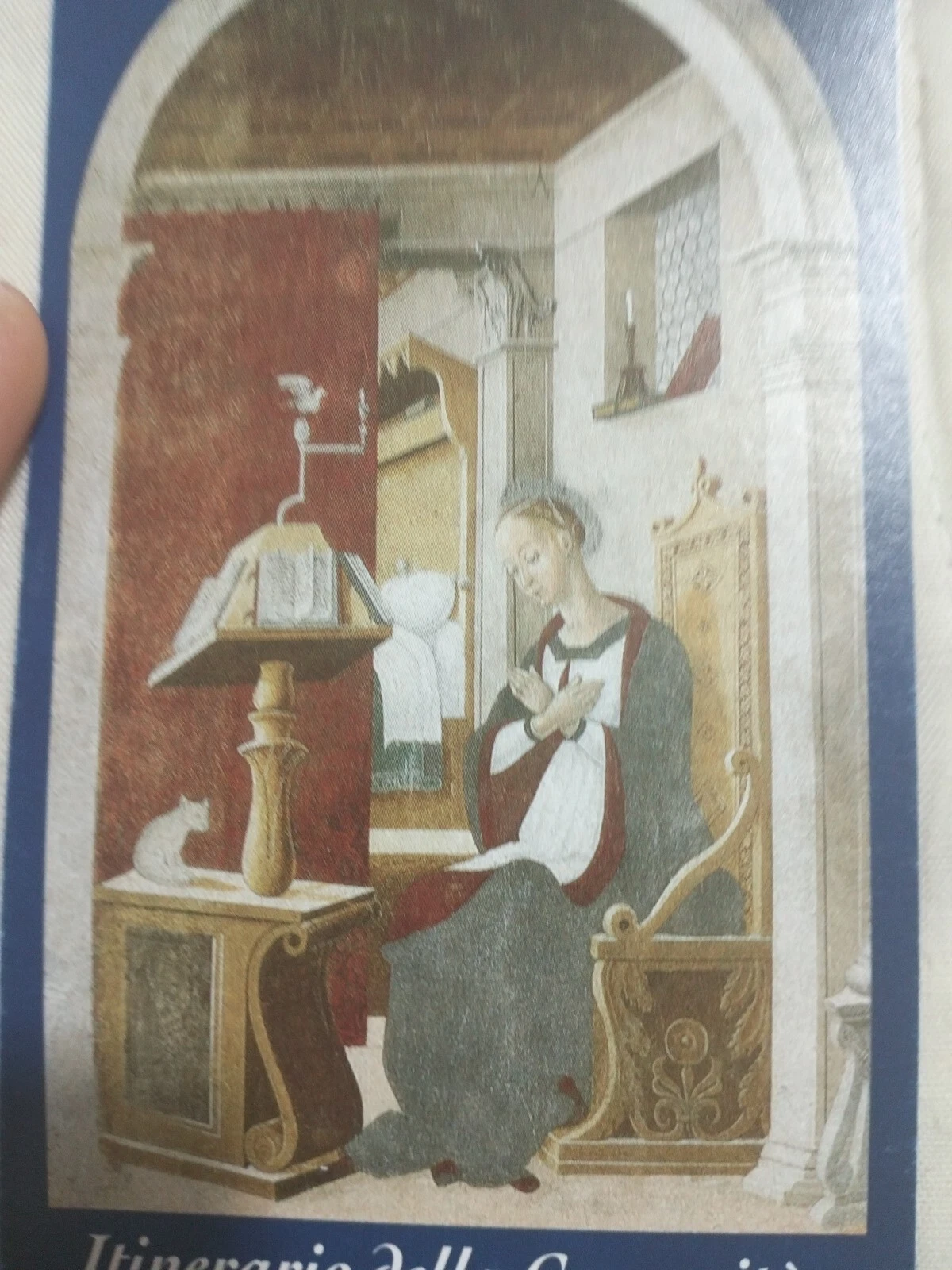 Foto 4 di 7