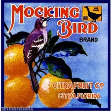 Citra Florida Blue Goose Mocking Bird Orange Citrus Fruit Crate Label Art Print