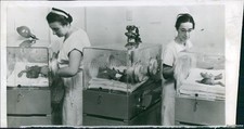 1956 Photo Hohenwarter Quadts In Isolettes At Lancaster P.A Hospital Infants 5X7
