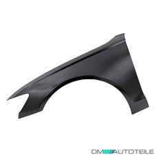 Kotflügel vorne links passt