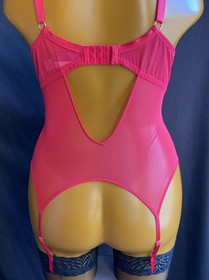 Ann Summers Sexy Lace Planet Suspender Basque, Red Sheer Mesh & Lace, UK 18 D-DD