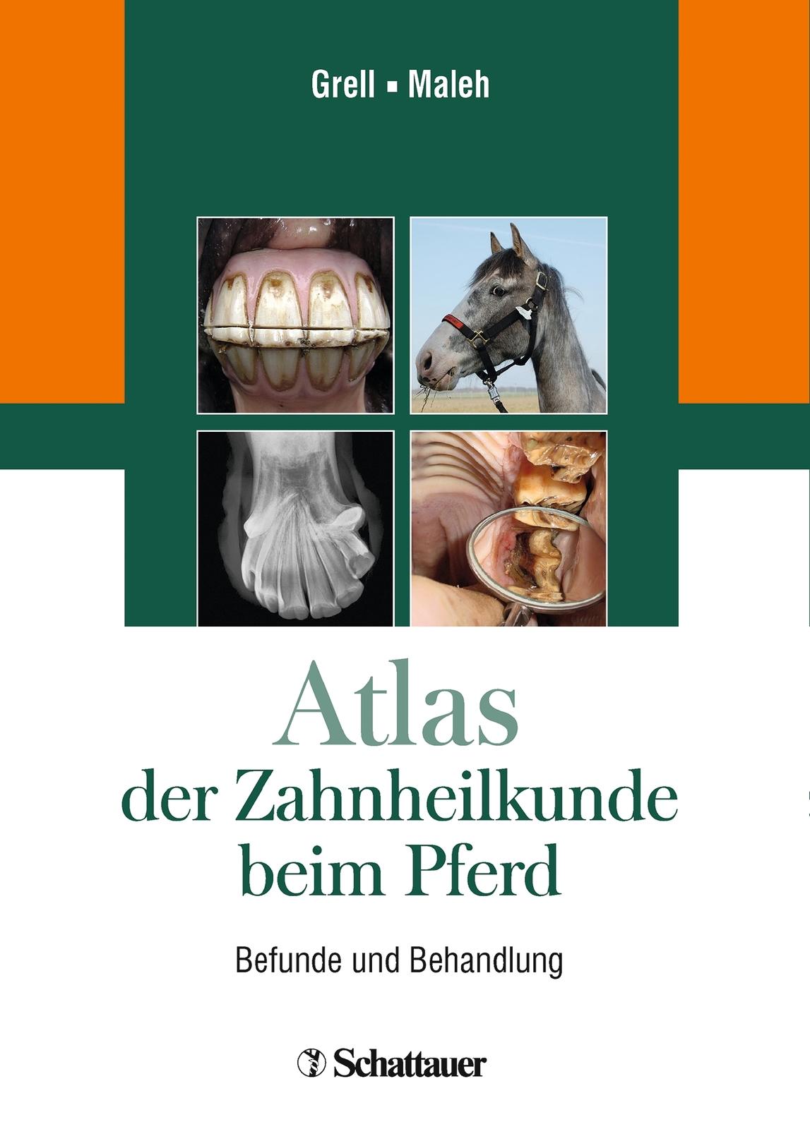 Thumbnail - Martin Grell / Atlas Der Zahnheilkunde Beim Pferd
