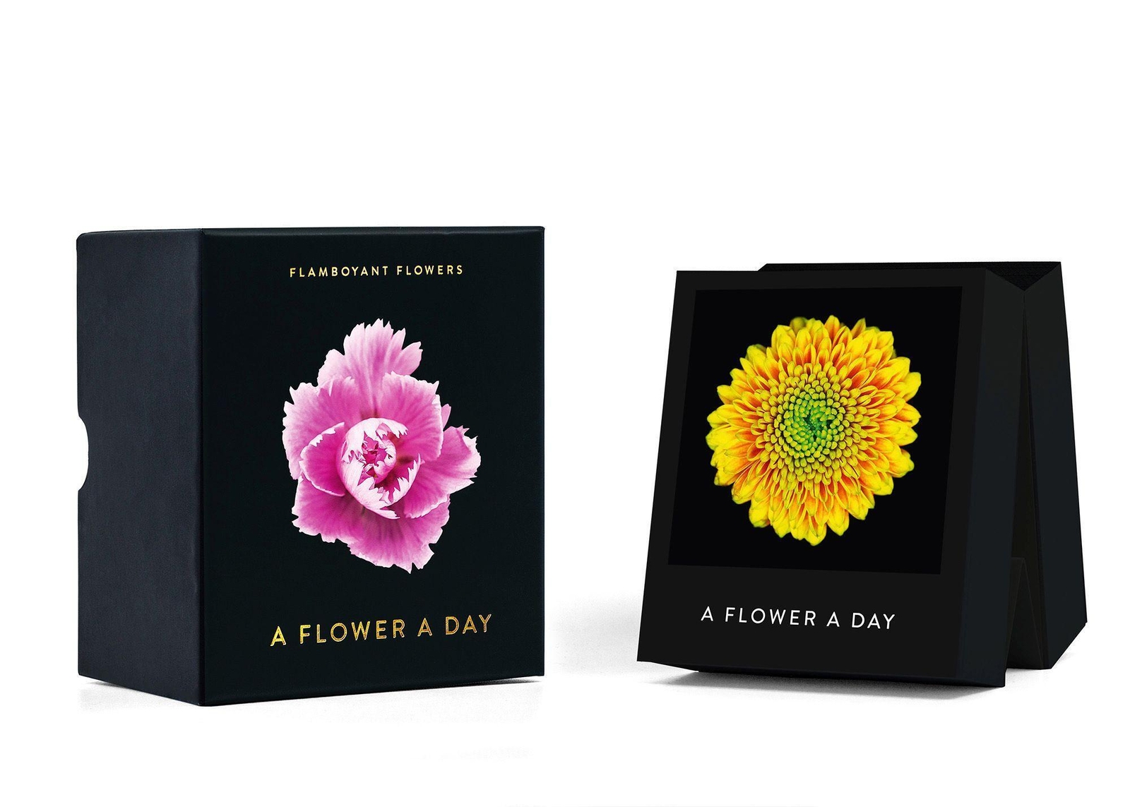 Thumbnail - Nicolas Meriel | Flamboyant Flowers | Kalender | Englisch | A Flower A