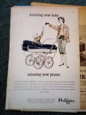 El110 Ephemera 1962 Advert Pedigree Prams 