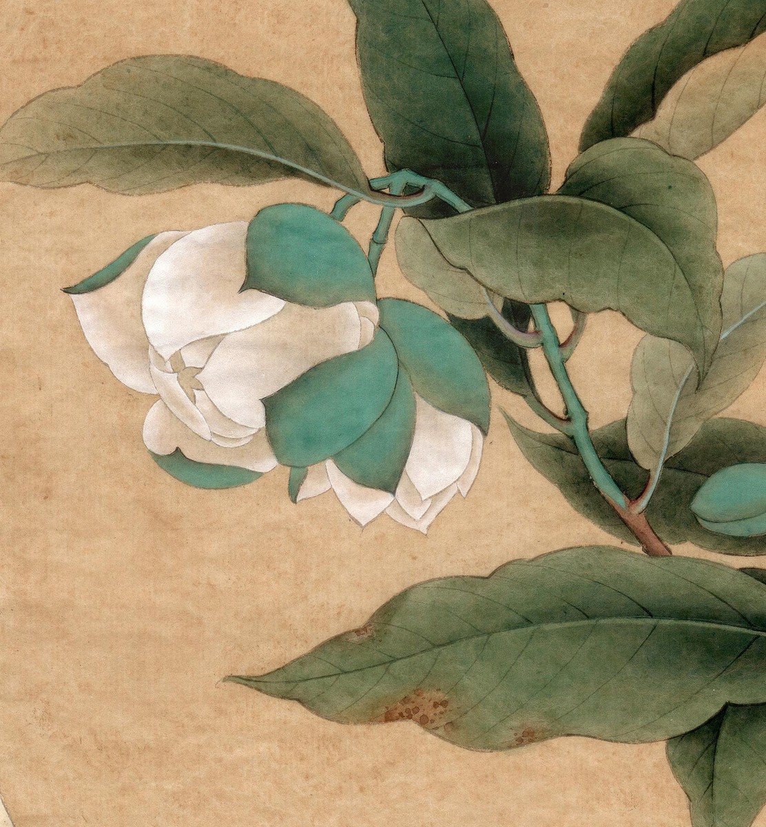 掛軸1967 ORIGINAL ART CHINESE PAINTING-flowers | eBay
