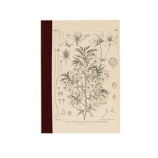 Hobonichi Grid Notebook A6 Size Tomitaro Makino / Yamazakura Tomoe River New