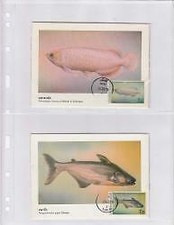 Lighthouse Vario 2C Pages -- 2 Pocket -- Pack of 5