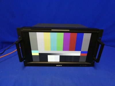 Sony BVM-F170A Trimaster EL 3G-HD/SDI Pro Video Monitor (Has Screen Burn-AS IS)