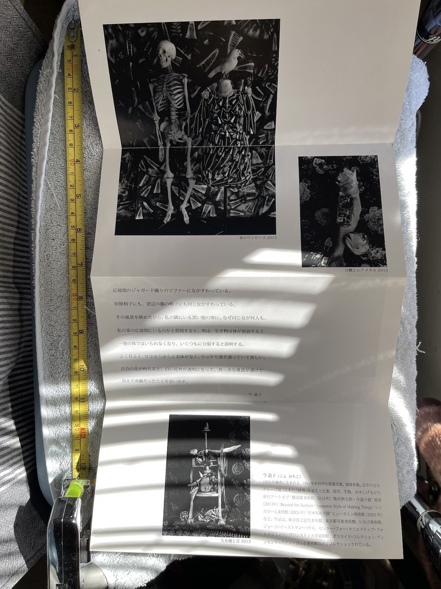 【希少】AMERICAN FLYER、Rcck デザインボードメダル 希少】AMERICAN FLYER、Rcck Islandデザインボードメダル